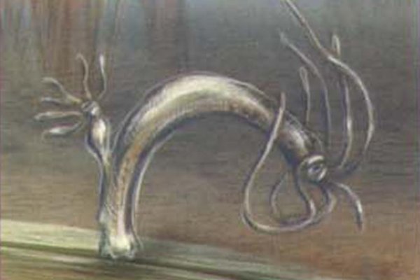 Кракен регистрация