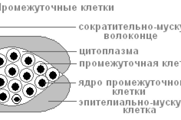 Кракен сайт даркнет зеркало